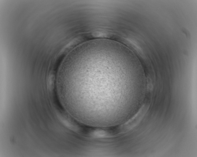 X0000114160171200910151615