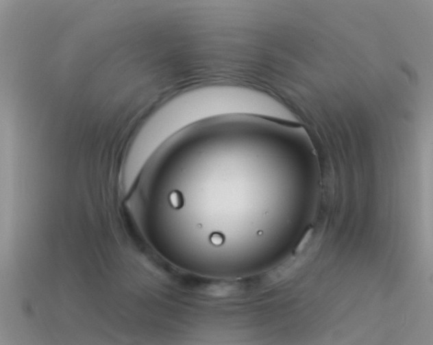 X0000114160172200910151615