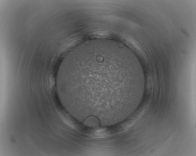 X0000114160173200910151615