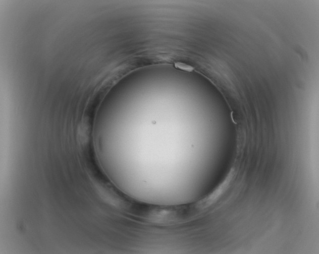 X0000114160174200910151615