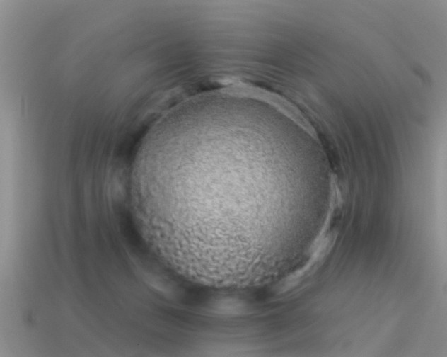 X0000114160175200910151615