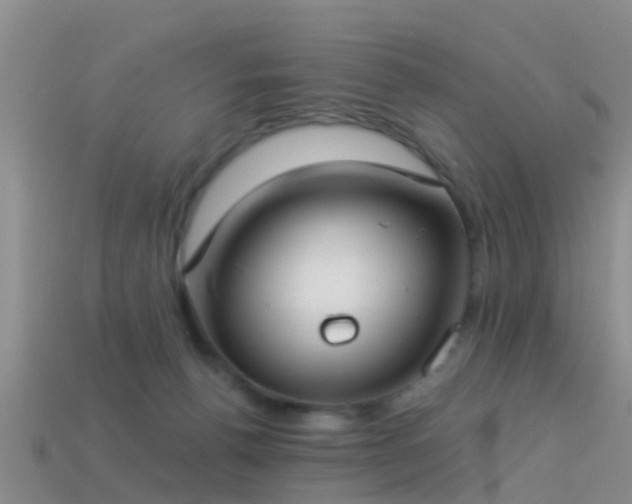 X0000114160176200910151615