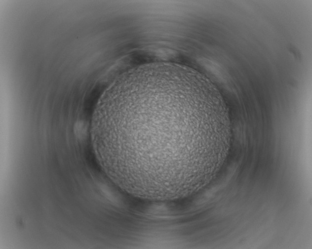 X0000114160177200910151615