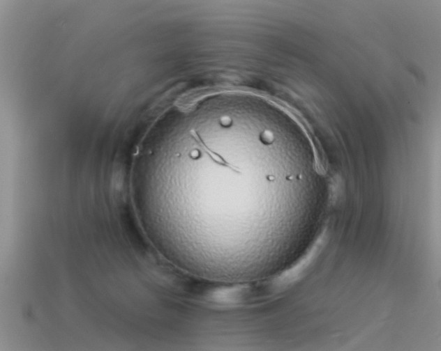 X0000114160178200910151615