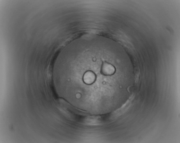 X0000114160179200910151615