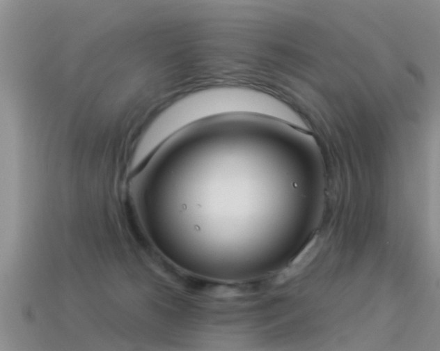 X0000114160180200910151615