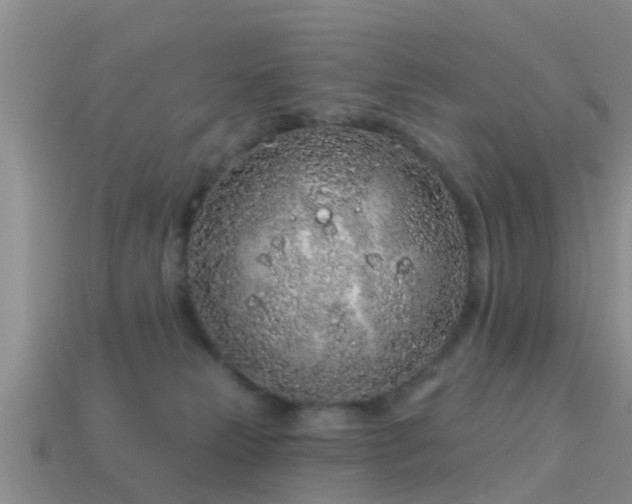 X0000114160181200910151615