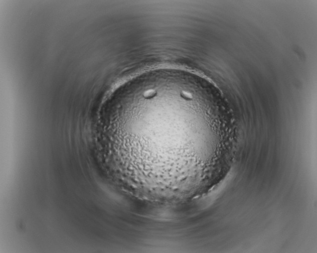 X0000114160182200910151615