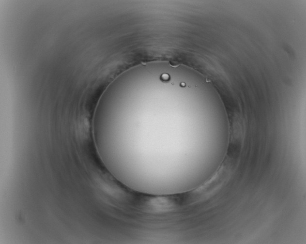 X0000114160183200910151615