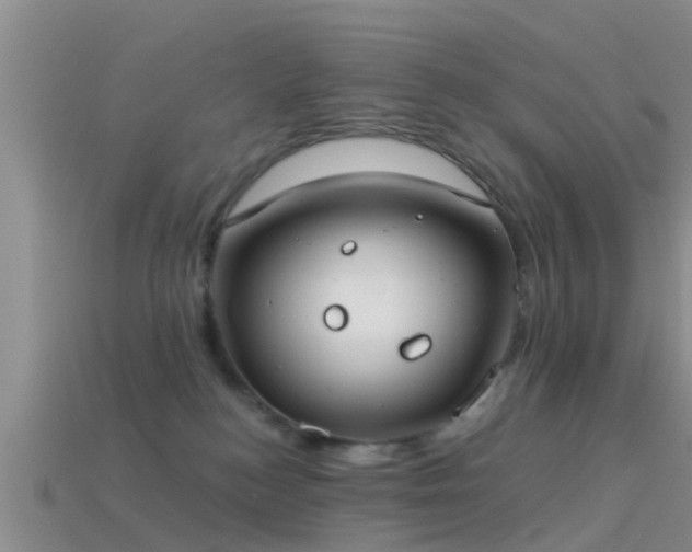 X0000114160184200910151615