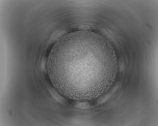 X0000114160185200910151615