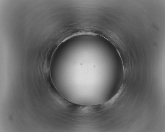 X0000114160186200910151615