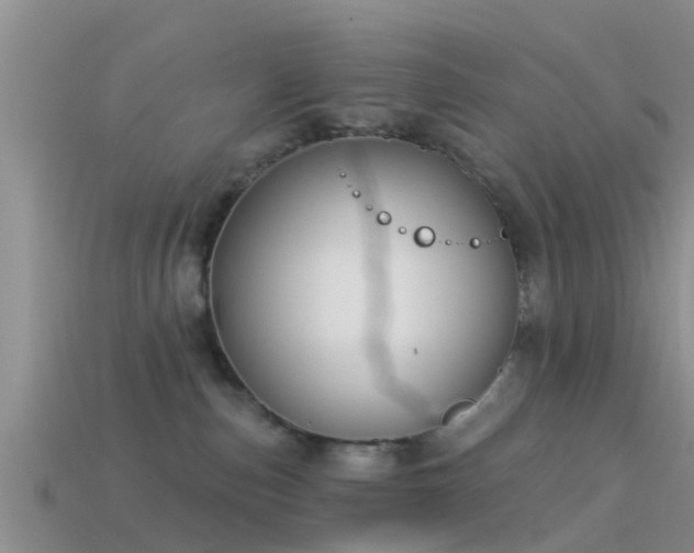 X0000114160187200910151615