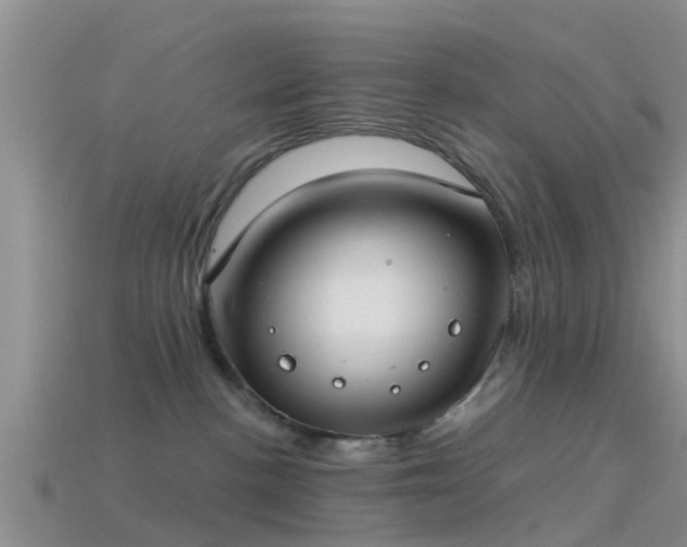 X0000114160188200910151615