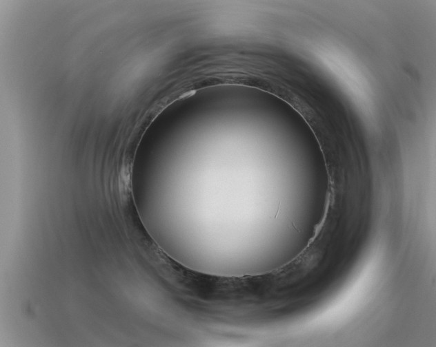 X0000114160190200910151615