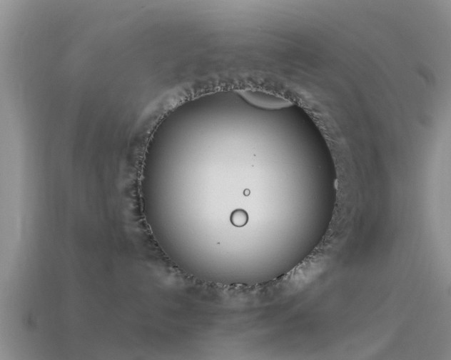 X0000114160192200910151615