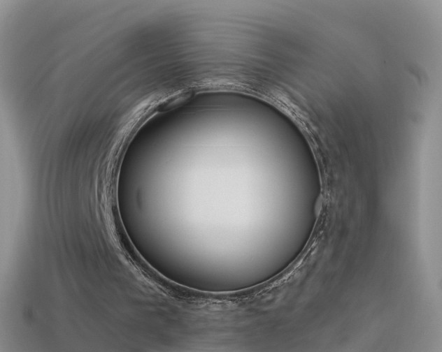 X0000114160193200910151614