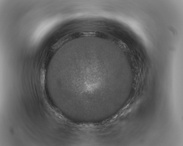 X0000114160194200910151614