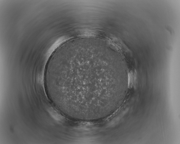 X0000114160195200910151614