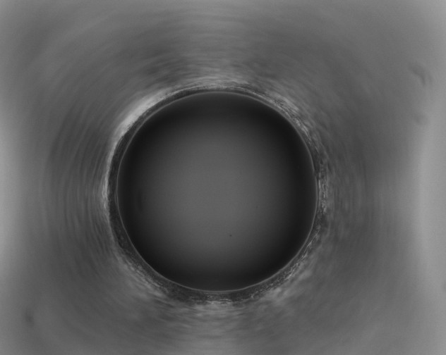 X0000114160196200910151614