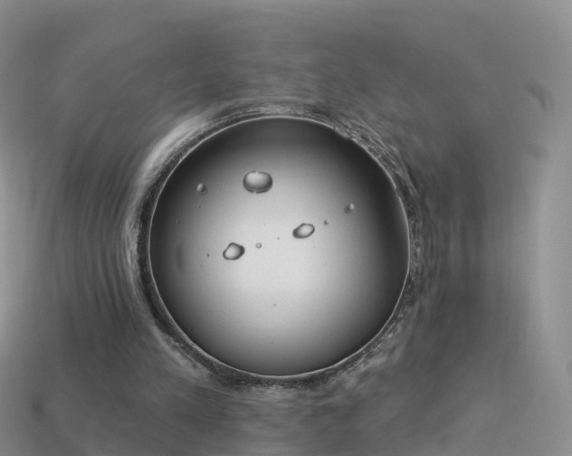 X0000114160197200910151614