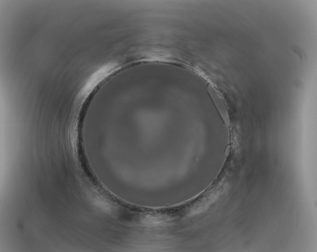 X0000114160199200910151614