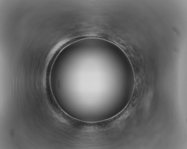 X0000114160200200910151614