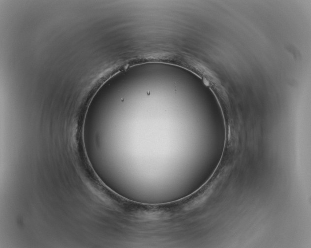 X0000114160201200910151614