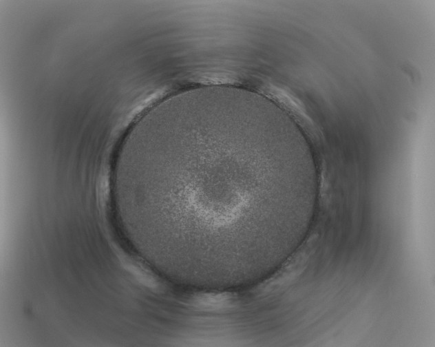 X0000114160202200910151614