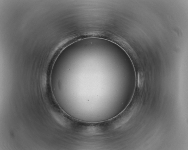 X0000114160204200910151614