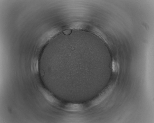 X0000114160205200910151614