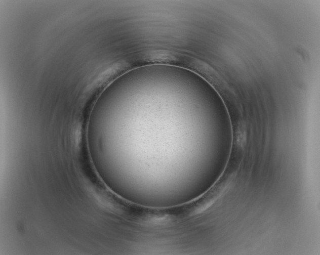 X0000114160206200910151614