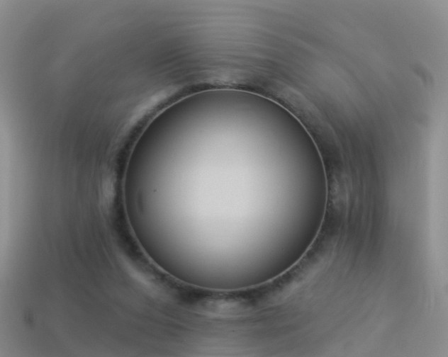 X0000114160208200910151614