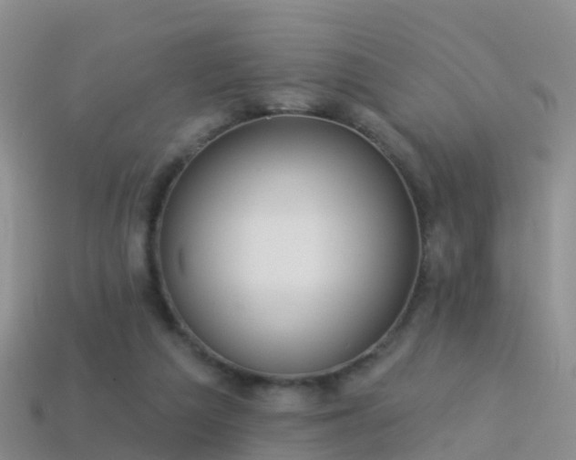 X0000114160209200910151614