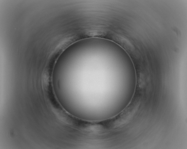 X0000114160210200910151614