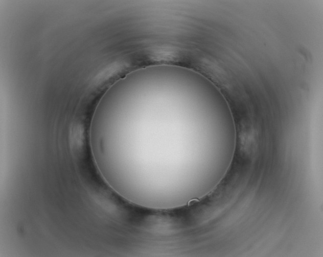 X0000114160211200910151614