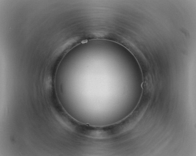 X0000114160212200910151614