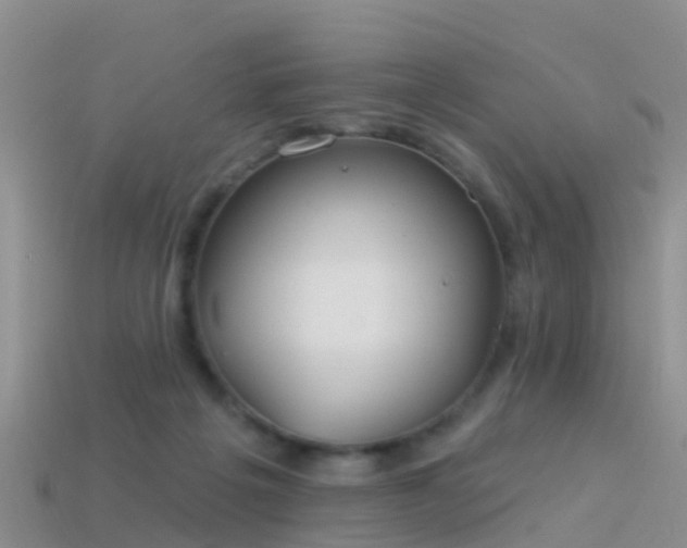 X0000114160217200910151614