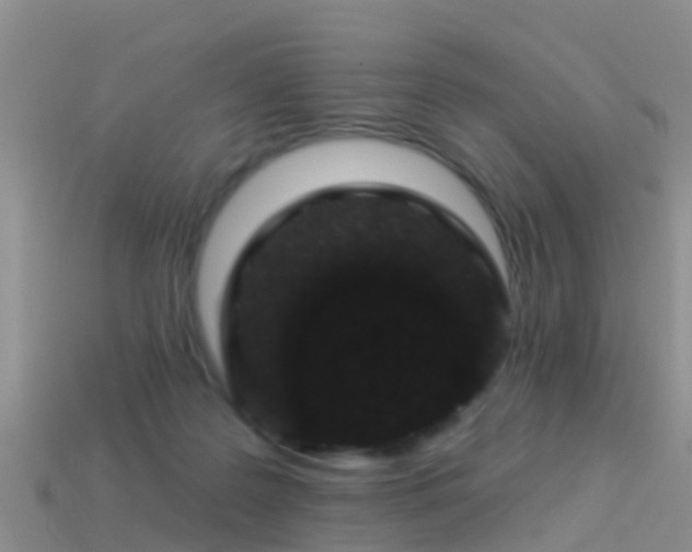 X0000114160219200910151614