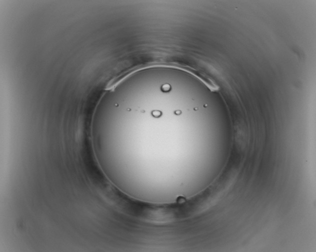 X0000114160221200910151614