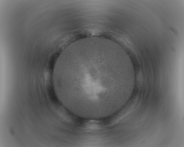 X0000114160222200910151614