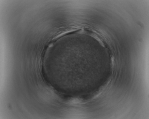 X0000114160223200910151614