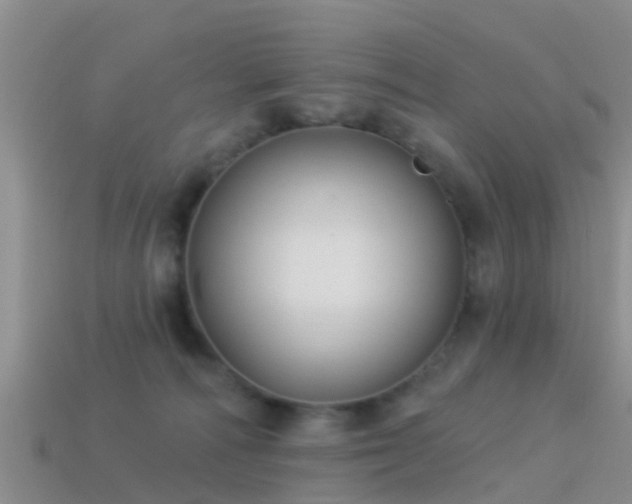 X0000114160226200910151614