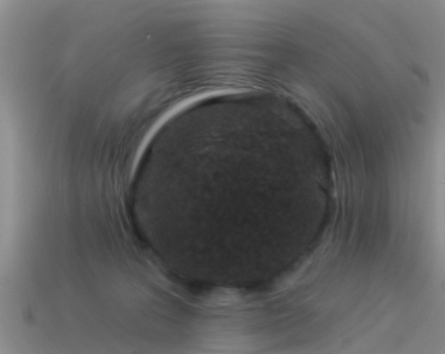 X0000114160227200910151614