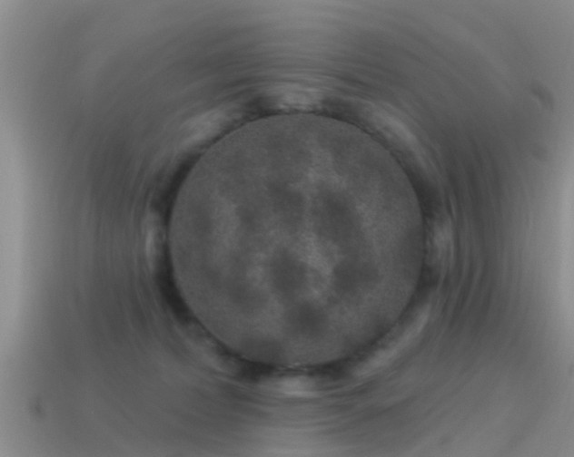 X0000114160228200910151614