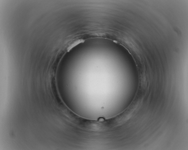 X0000114160229200910151614