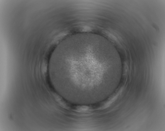 X0000114160230200910151614