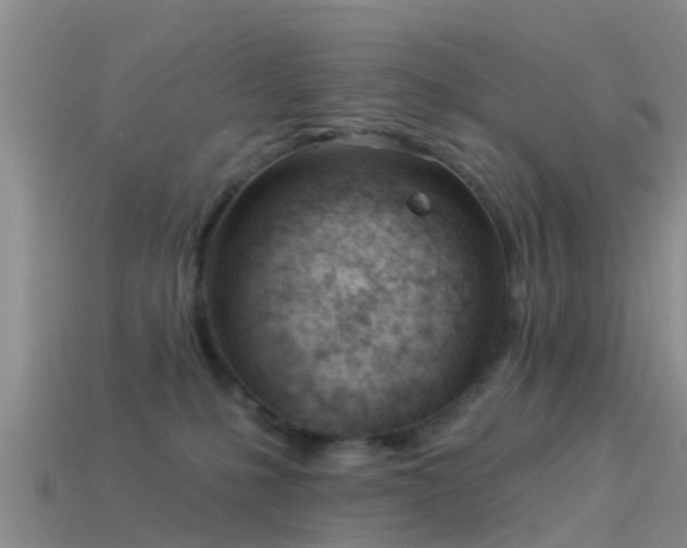 X0000114160231200910151614