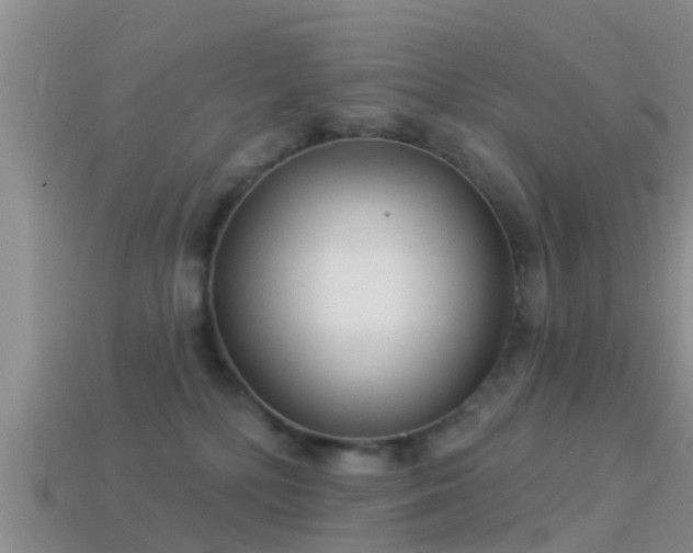 X0000114160232200910151614