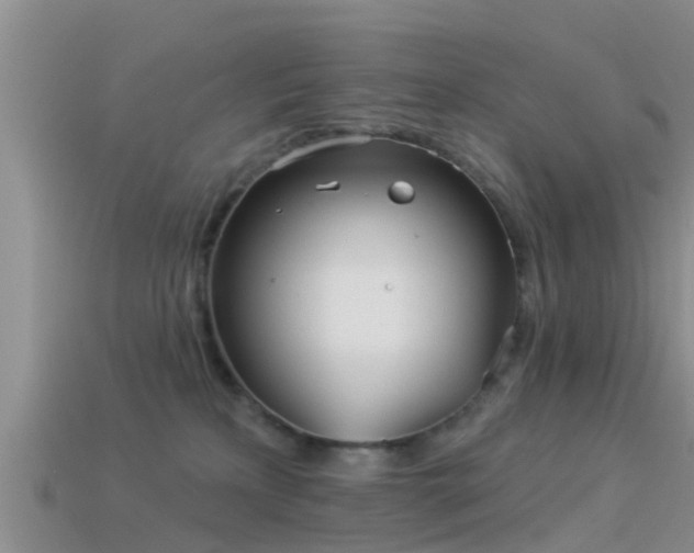 X0000114160233200910151614